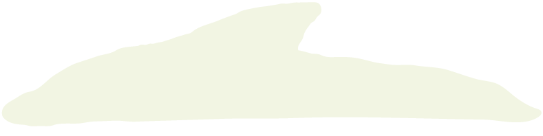 baleine-a-propos