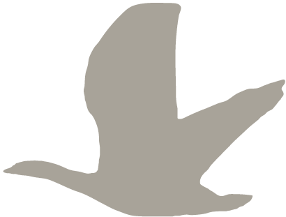 oiseau-a-propos